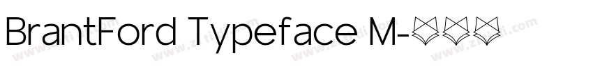 BrantFord Typeface M字体转换